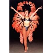 Looking For Feather Costumes