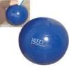 Looking For Gym Balls