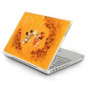 Looking For Laptop Skins (China)