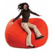 Looking For Quality Bean Bag Chairs (United States)