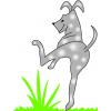 Buy Unique Pet Products