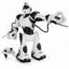Looking To Buy Electric Robot Toys