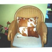 Looking To Buy Furniture (Brazil)