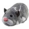 Looking To Buy Zhu Zhu Pet Hamsters
