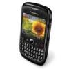 Looking To Buy Blackberry Mobile Phones (United States)