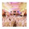 Looking To Buy Wedding Chair Covers