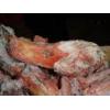 Looking To Buy Duck Head (China)