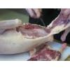 Looking To Buy Duck Carcass (China)