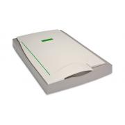 Looking For Flatbed Scanners (United States)
