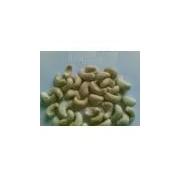 Looking For Cashew Kernels (Vietnam)