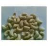 Looking For Cashew Kernels (Vietnam)
