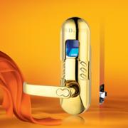 Looking For Fingerprint Locks (China)