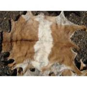 Looking To Buy Sheep And Lamb Skins