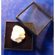 Looking For Plastic Jewellery Cases