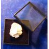 Looking For Plastic Jewellery Cases
