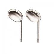Looking For Dental Mirror (Pakistan)
