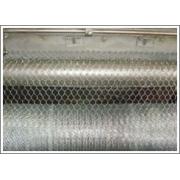 Looking For Wire Mesh (China)