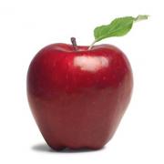 Looking For Apples (India)