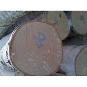 Looking To Buy Birch Logs (China)