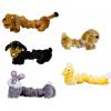 Looking To Buy Dog Collars (United States)