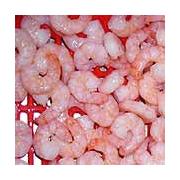 Looking For Sea Caught Shrimp (Cameroon)