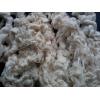 Looking For Cotton Yarn Waste Stocks (China)