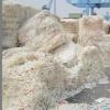 Looking To Buy Milk Cartons (China)