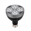 Looking For Light Bulbs