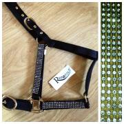 Looking To Buy Nylon Head Collar