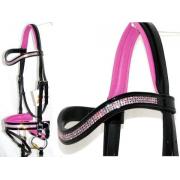 Looking For Wholesale Supplier Of Equestrian Products (South Africa)
