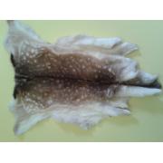 Looking To Buy Deer Skins Hide Fallow