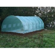 Looking For Green Houses (Ireland)