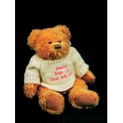 Buy Personalised Teddy Bears wih Knitted Jumpers