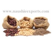 Looking To Buy Peas and Pulses (India)