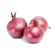 Looking To Buy Onions (India)