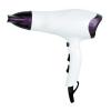 Looking To Buy Professional Salon Hair Dryer (China)