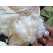 Looking For Used Down Quilts (China)