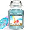 Looking To Buy Yankee Candles 
