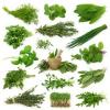 Looking To Buy Ayurvedic Herbs And Herbal Medicines