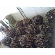 Looking Foer Antler And Deer Horns(Spain)