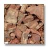 Looking To Buy Terminalia Arjuna