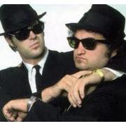 Looking For Blues Brothers Style Sunglasses