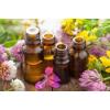Looking To Buy Essential Oils