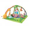 Looking For Fisher Price Rainforest Play Gym 
