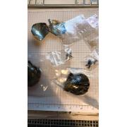 Looking For Dropshippers Of Akoya Oysters