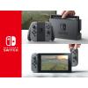 Looking For Nintendo Switches (Croatia)
