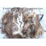 Looking To Buy Uncombed Cattle Hair (China)