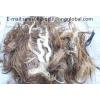 Looking To Buy Horse Tail Hair (China)