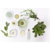 Looking For Dropshippers Of Natural Cosmetics (Romania)