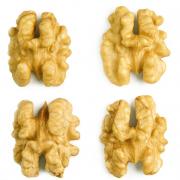 Looking To Buy Walnut kernels (Serbia)